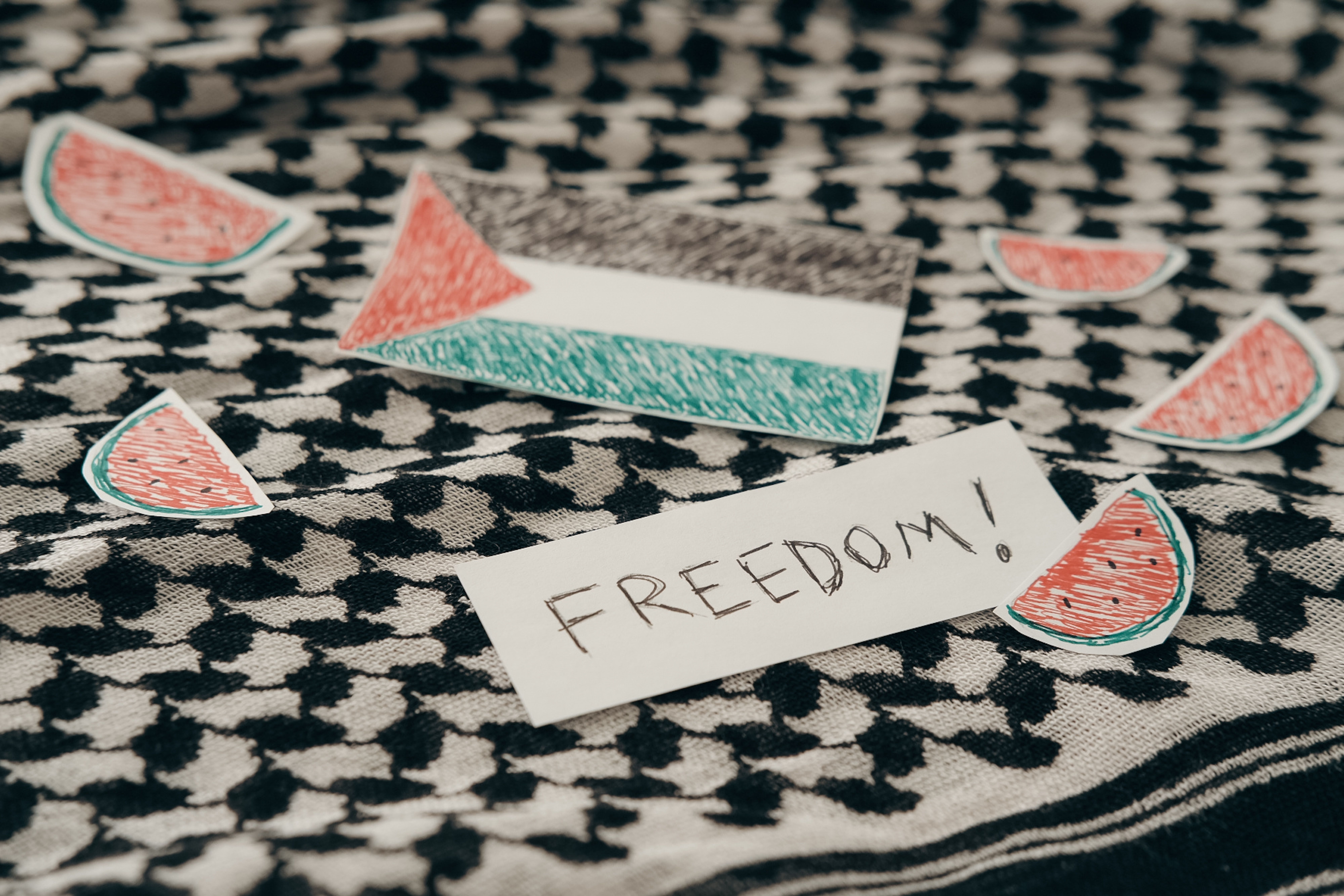Students and solidarity